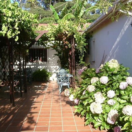 סטלנבוש Vine Guesthouse מראה חיצוני תמונה